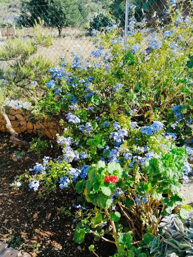 Villetta Castiglione San Vito Lo Capo Tatil Evi
