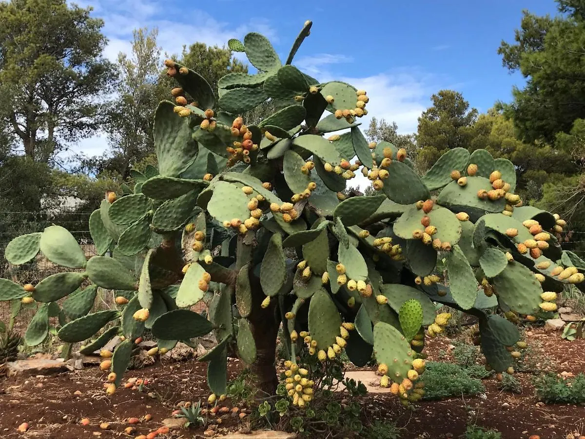 Villetta Castiglione San Vito Lo Capo